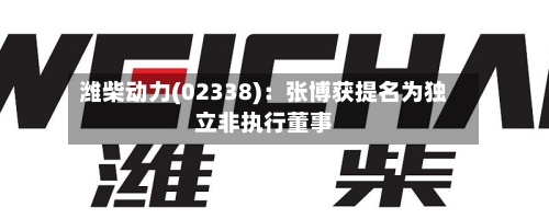 潍柴动力(02338)：张博获提名为独立非执行董事-第2张图片