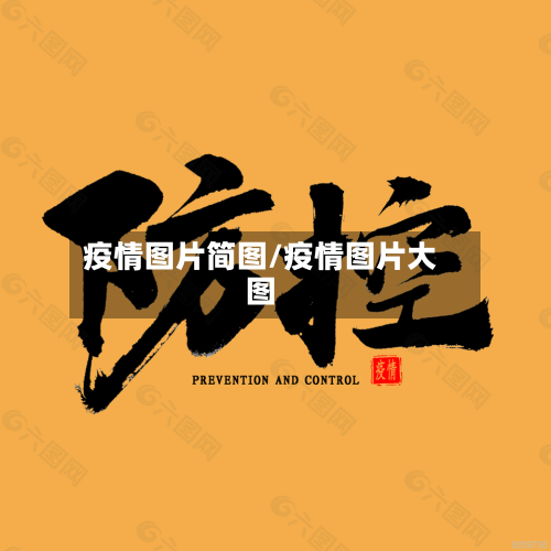 疫情图片简图/疫情图片大图-第2张图片