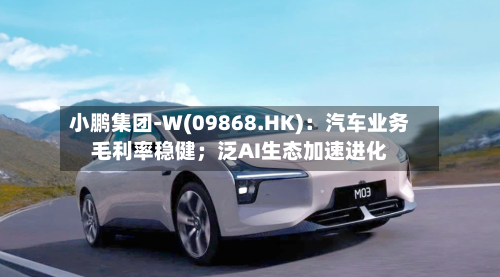 小鹏集团-W(09868.HK):汽车业务毛利率稳健;泛AI生态加速进化