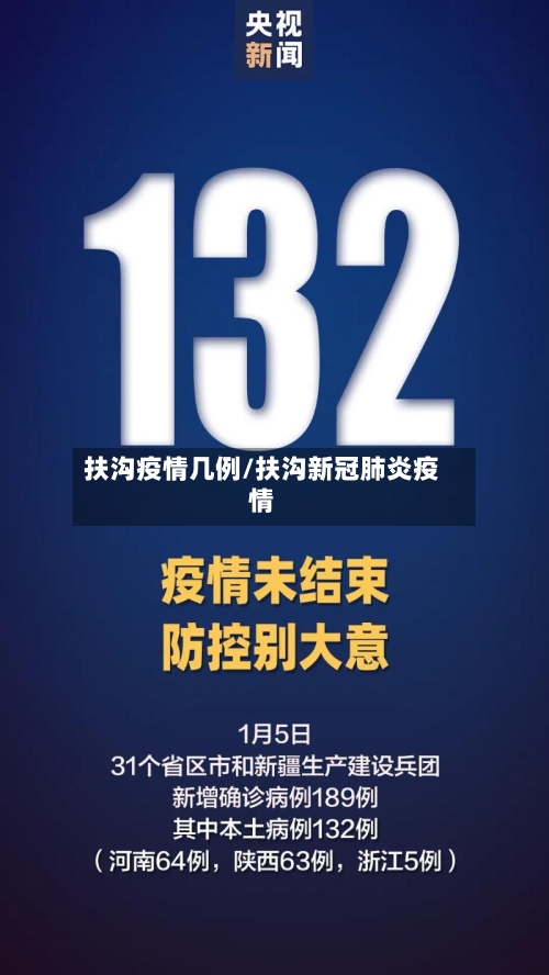 扶沟疫情几例/扶沟新冠肺炎疫情-第2张图片