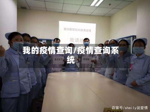 我的疫情查询/疫情查询系统-第2张图片