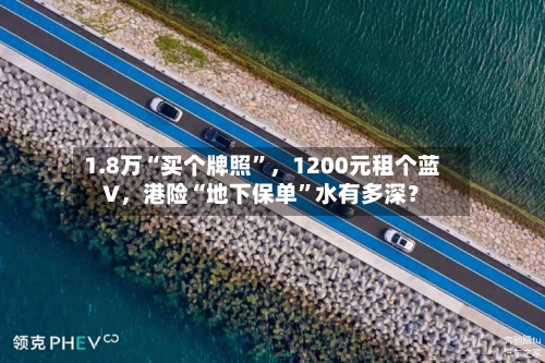 1.8万“买个牌照”	，1200元租个蓝V，港险“地下保单”水有多深？-第3张图片