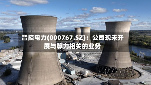 晋控电力(000767.SZ):公司现未开展与算力相关的业务