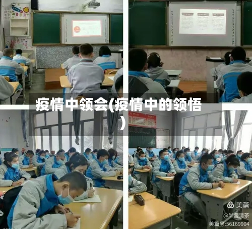 疫情中领会(疫情中的领悟)