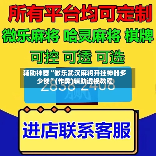 辅助神器“微乐武汉麻将开挂神器多少钱”(作弊)辅助透视教程-第2张图片