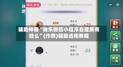 辅助神器“微乐微信小程序自建房有挂么”(作弊)辅助透视教程-第2张图片