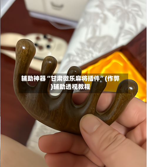 辅助神器“甘肃微乐麻将插件”(作弊)辅助透视教程-第2张图片
