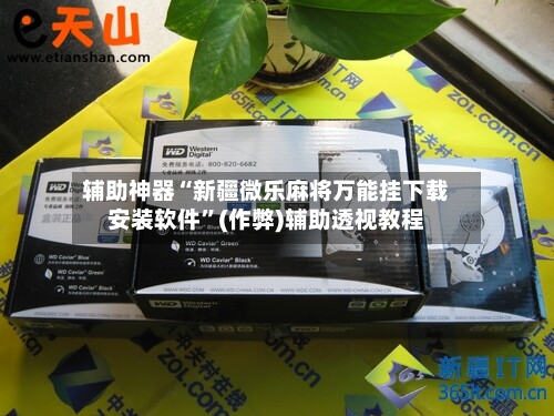 辅助神器“新疆微乐麻将万能挂下载安装软件”(作弊)辅助透视教程-第3张图片
