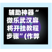 辅助神器“微乐武汉麻将开挂教程步骤”(作弊)辅助透视教程-第3张图片