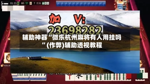 辅助神器“微乐杭州麻将有人用挂吗	”(作弊)辅助透视教程-第3张图片