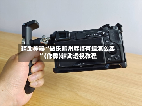 辅助神器“微乐郑州麻将有挂怎么买”(作弊)辅助透视教程-第2张图片