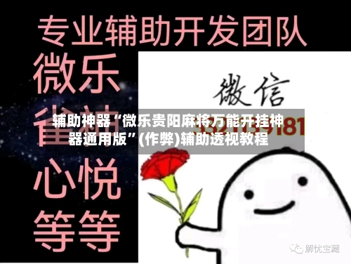 辅助神器“微乐贵阳麻将万能开挂神器通用版”(作弊)辅助透视教程-第2张图片