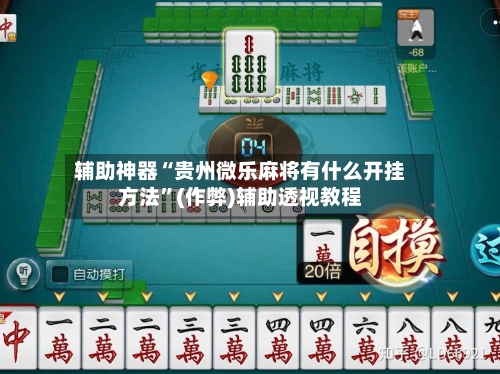 辅助神器“贵州微乐麻将有什么开挂方法	”(作弊)辅助透视教程-第3张图片