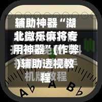 辅助神器“湖北微乐麻将专用神器”(作弊)辅助透视教程-第2张图片