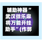 辅助神器“武汉微乐麻将万能开挂助手”(作弊)辅助透视教程-第2张图片