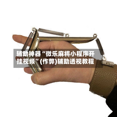 辅助神器“微乐麻将小程序开挂视频”(作弊)辅助透视教程-第2张图片
