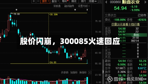 股价闪崩	，300085火速回应-第2张图片