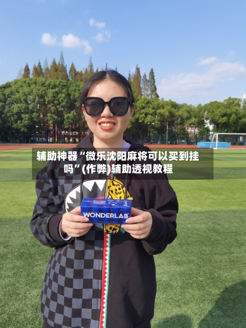 辅助神器“微乐沈阳麻将可以买到挂吗”(作弊)辅助透视教程