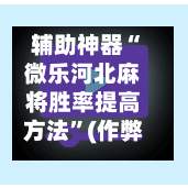 辅助神器“微乐河北麻将胜率提高方法”(作弊)辅助透视教程-第2张图片