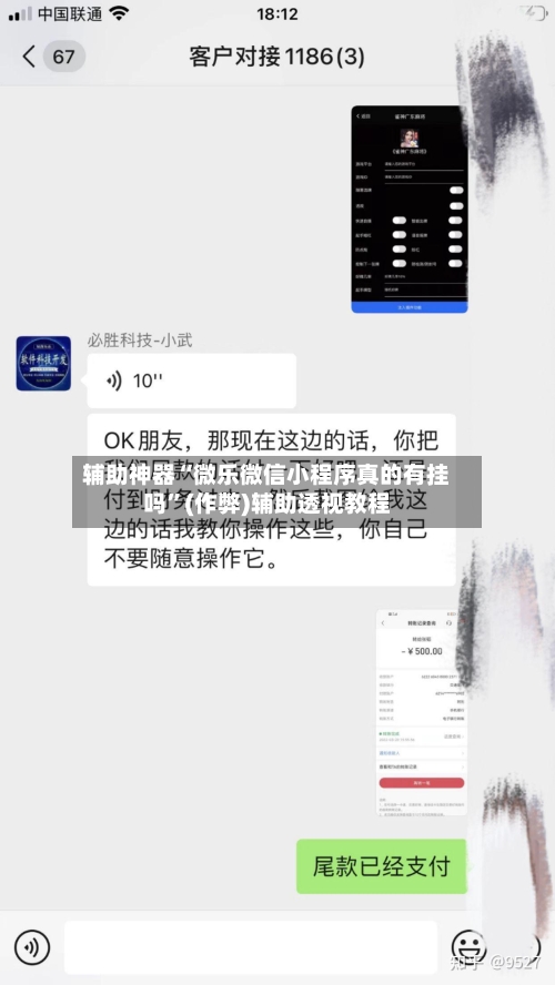 辅助神器“微乐微信小程序真的有挂吗”(作弊)辅助透视教程-第2张图片