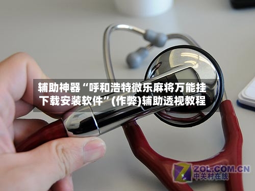辅助神器“呼和浩特微乐麻将万能挂下载安装软件”(作弊)辅助透视教程-第3张图片