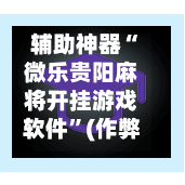 辅助神器“微乐贵阳麻将开挂游戏软件	”(作弊)辅助透视教程-第2张图片