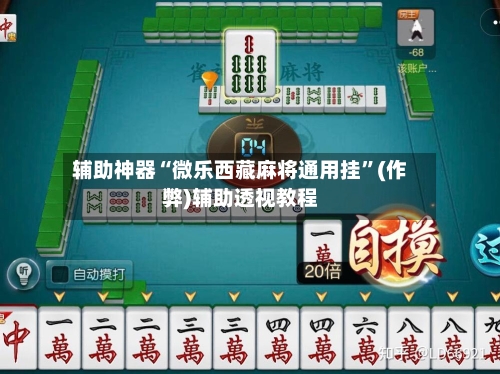 辅助神器“微乐西藏麻将通用挂	”(作弊)辅助透视教程-第3张图片