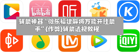 辅助神器“微乐福建麻将万能开挂助手”(作弊)辅助透视教程-第2张图片