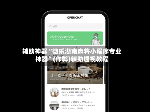 辅助神器“微乐湖南麻将小程序专业神器”(作弊)辅助透视教程-第2张图片