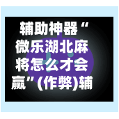 辅助神器“微乐湖北麻将怎么才会赢”(作弊)辅助透视教程