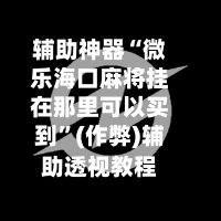 辅助神器“微乐海口麻将挂在那里可以买到	”(作弊)辅助透视教程-第2张图片