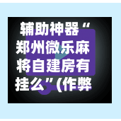 辅助神器“郑州微乐麻将自建房有挂么	”(作弊)辅助透视教程-第3张图片