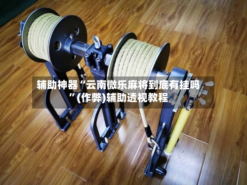 辅助神器“云南微乐麻将到底有挂吗”(作弊)辅助透视教程-第3张图片