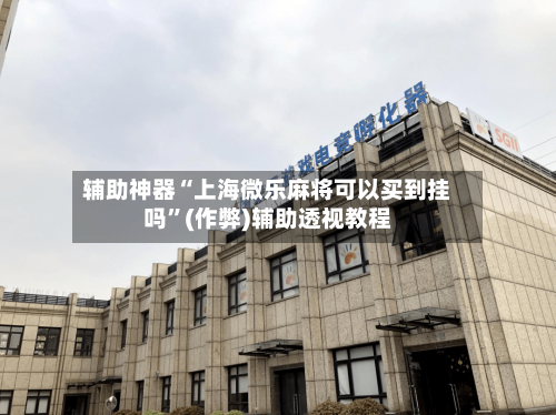 辅助神器“上海微乐麻将可以买到挂吗	”(作弊)辅助透视教程-第2张图片