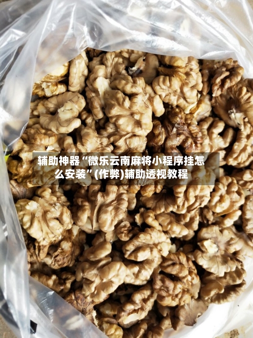 辅助神器“微乐云南麻将小程序挂怎么安装	”(作弊)辅助透视教程-第2张图片