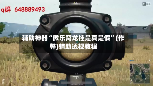 辅助神器“微乐窝龙挂是真是假”(作弊)辅助透视教程-第2张图片