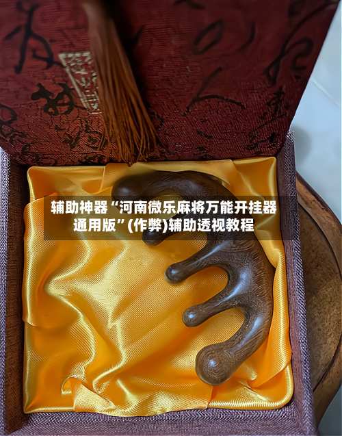 辅助神器“河南微乐麻将万能开挂器通用版”(作弊)辅助透视教程-第2张图片