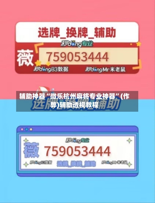 辅助神器“微乐杭州麻将专业神器	”(作弊)辅助透视教程-第3张图片