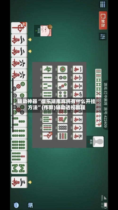 辅助神器“微乐湖南麻将有什么开挂方法”(作弊)辅助透视教程-第2张图片
