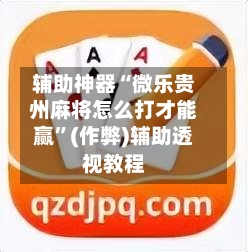 辅助神器“微乐贵州麻将怎么打才能赢”(作弊)辅助透视教程-第3张图片