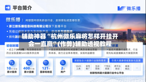 辅助神器“杭州微乐麻将怎样开挂开会一直赢”(作弊)辅助透视教程-第3张图片