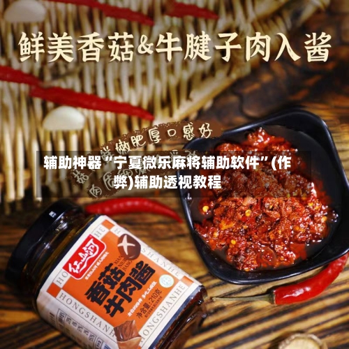 辅助神器“宁夏微乐麻将辅助软件”(作弊)辅助透视教程-第2张图片