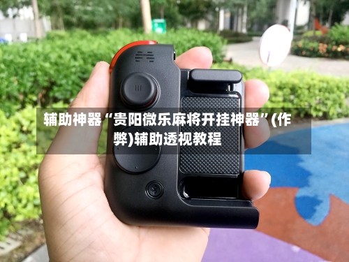 辅助神器“贵阳微乐麻将开挂神器”(作弊)辅助透视教程