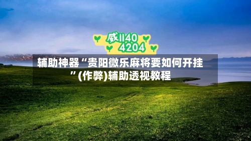辅助神器“贵阳微乐麻将要如何开挂”(作弊)辅助透视教程-第2张图片
