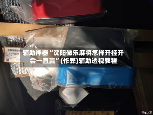 辅助神器“沈阳微乐麻将怎样开挂开会一直赢”(作弊)辅助透视教程