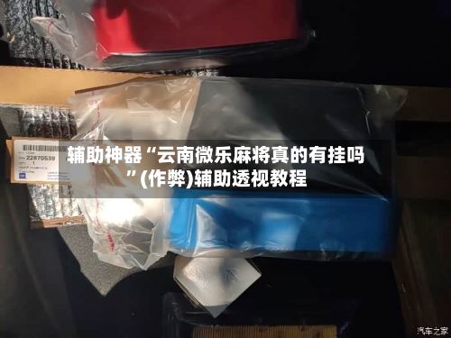 辅助神器“云南微乐麻将真的有挂吗	”(作弊)辅助透视教程-第3张图片