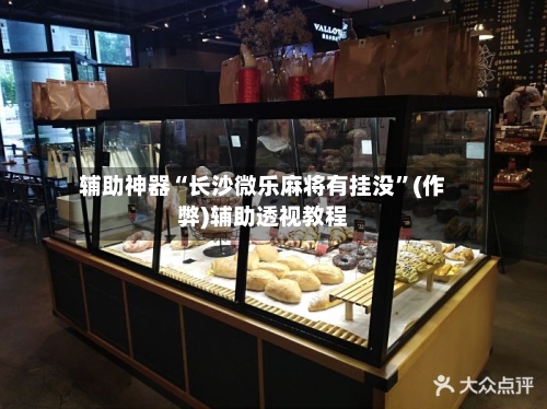 辅助神器“长沙微乐麻将有挂没”(作弊)辅助透视教程-第3张图片