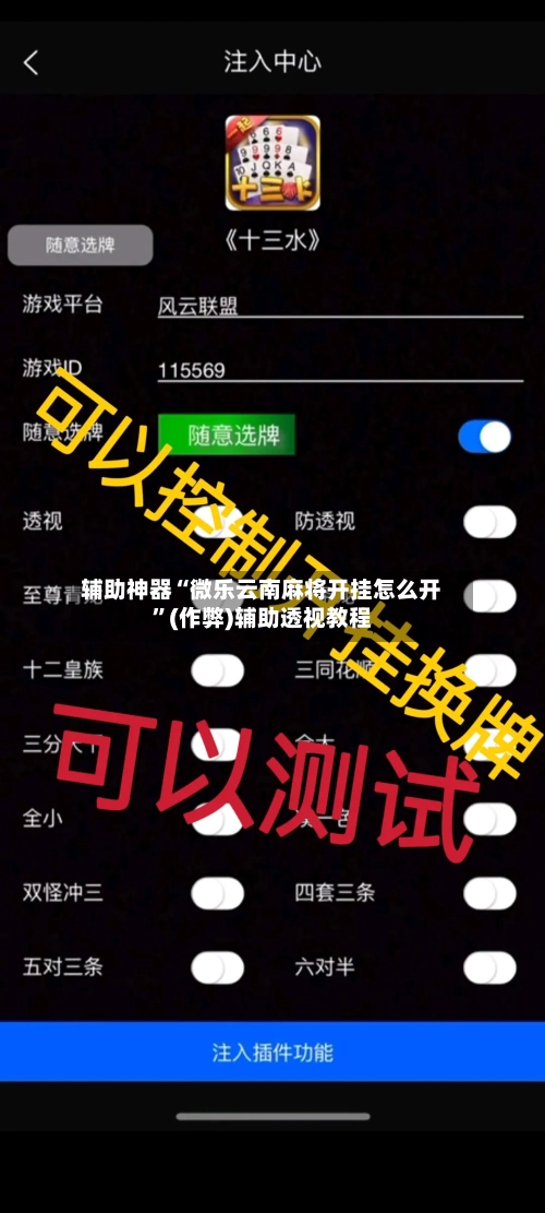 辅助神器“微乐云南麻将开挂怎么开”(作弊)辅助透视教程