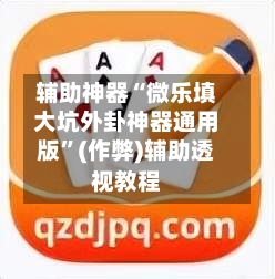 辅助神器“微乐填大坑外卦神器通用版”(作弊)辅助透视教程