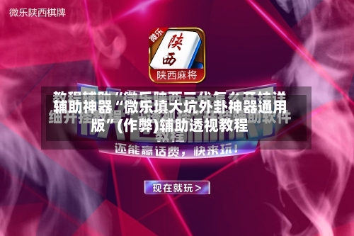 辅助神器“微乐填大坑外卦神器通用版	”(作弊)辅助透视教程-第2张图片